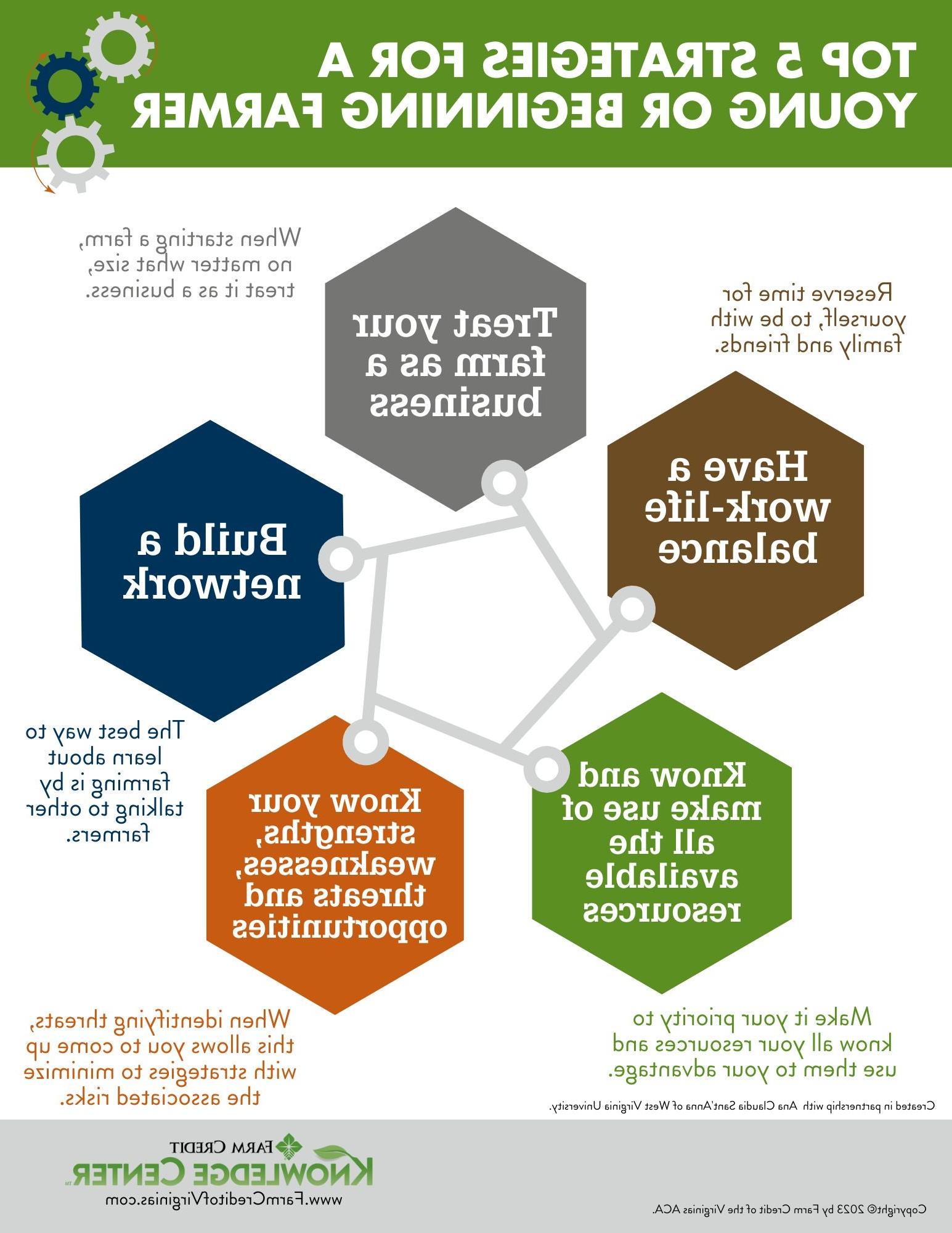 infographic of top 5 strategies for a young and beginning farmer